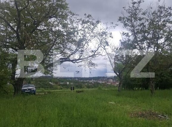 Teren de vânzare Vest - 175429TV | BLITZ Turda | Poza6