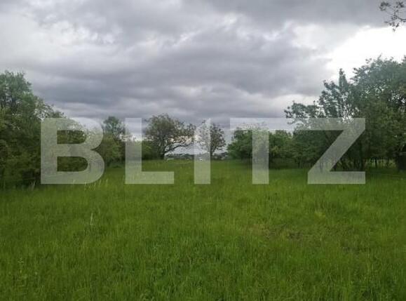 Teren de vânzare Vest - 175429TV | BLITZ Turda | Poza4