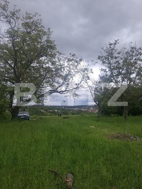 Teren de vânzare Vest - 175429TV | BLITZ Turda | Poza6