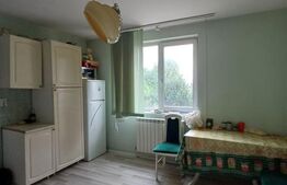 Casa individuala cu 5 camere, 1001 mp teren, zona Materna