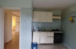 Casa individuala cu 5 camere, 1001 mp teren, zona Materna