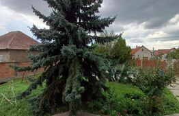 Casa individuala cu 5 camere, 1001 mp teren, zona Materna