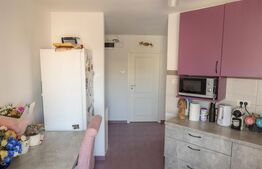 Apartament la cheie, 2 camere, decomandat, zona Parcul Teilor 