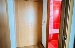 Apartament cu 2 camere, 41,20 mp, zona Micro 3 