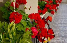 Apartament cu 2 camere, 90mp , cu curte, zona Turda Noua 