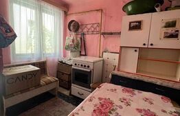 Apartament cu 2 camere, 90mp , cu curte, zona Turda Noua 