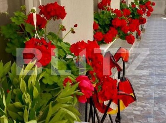 Apartament de vânzare 2 camere Nord - 178928AV | BLITZ Turda | Poza13