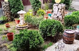 Vila individuala 320 mp, teren 579 mp, aproape de Centru