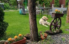 Vila individuala 320 mp, teren 579 mp, aproape de Centru