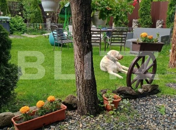 Casa de vânzare 7 camere Sud-Vest - 179448CV | BLITZ Turda | Poza23