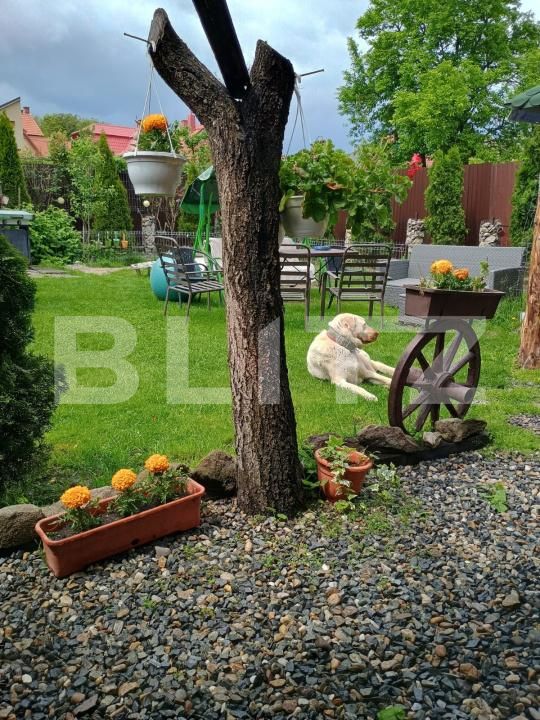 Casa de vânzare 7 camere Sud-Vest - 179448CV | BLITZ Turda | Poza23