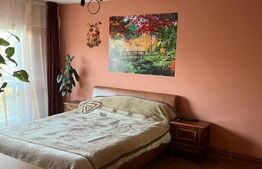 Apartament cu 4 camere, decomandat, 76 mp, zona Parcul Teilor 