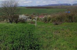 Teren intravilan, 1500 mp  in Turda