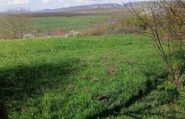 Teren intravilan, 1500 mp  in Turda