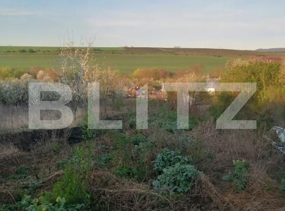 Teren de vânzare Vest - 180431TV | BLITZ Turda | Poza3