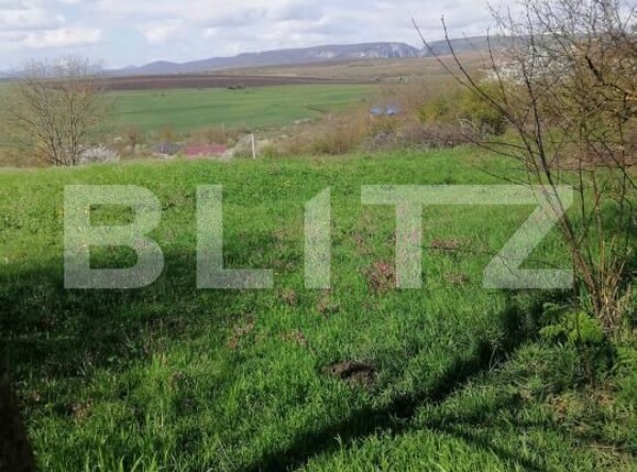 Teren de vânzare Vest - 180431TV | BLITZ Turda | Poza2