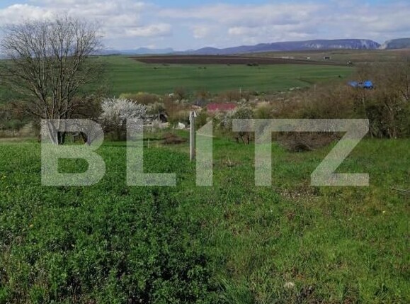 Teren de vânzare Vest - 180431TV | BLITZ Turda | Poza1