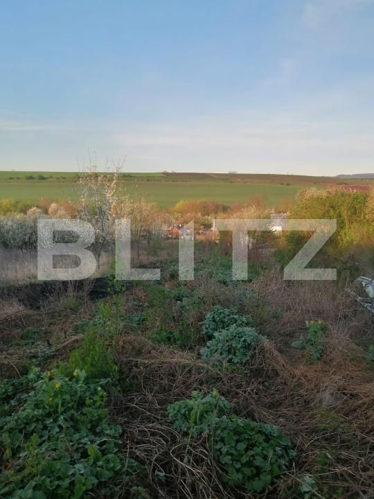 Teren de vânzare Vest - 180431TV | BLITZ Turda | Poza3