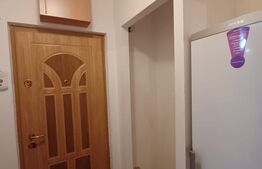 Garsoniera renovata, 29 mp, zona Micro III