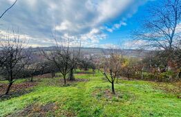 Teren intravilan, 723 mp, Turda 