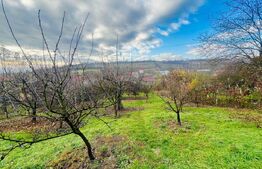 Teren intravilan, 723 mp, in Turda 