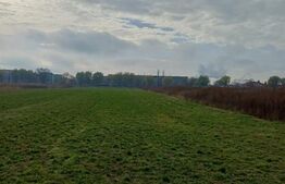 Teren extravilan, 3800 mp, Turda