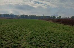 Teren extravilan, 3800 mp, Turda