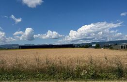 Teren intravilan 20000 mp, Parc Industrial Badeni