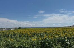 Teren intravilan 20000 mp, Parc Industrial Badeni