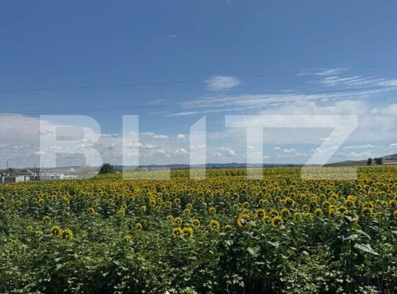 Teren de vânzare Est - 185904TV | BLITZ Turda | Poza1