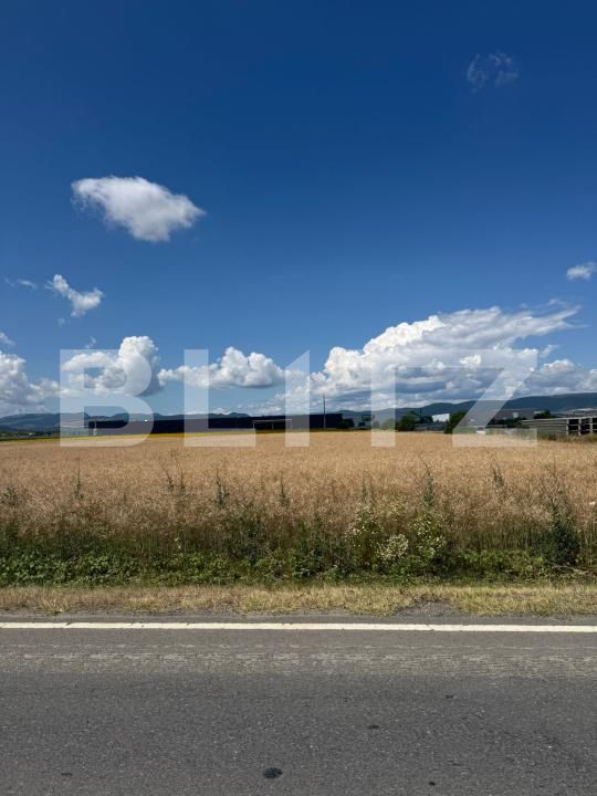 Teren de vânzare Est - 185904TV | BLITZ Turda | Poza2