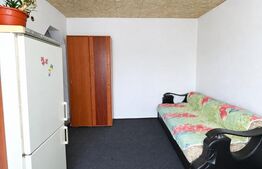 Apartament cu 2 camere, 30 mp, zona Micro 3