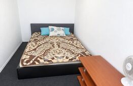 Apartament cu 2 camere, 30 mp, zona Micro 3