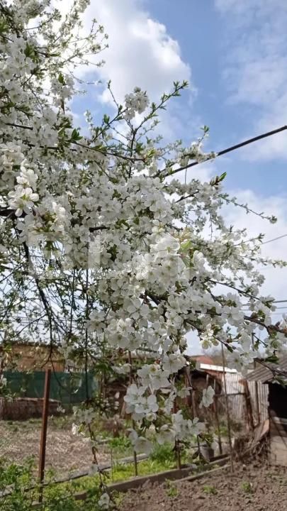 Casa de vânzare 3 camere Est - 187477CV | BLITZ Turda | Poza9