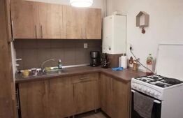 Garsoniera , 30mp, zona Materna