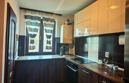 Apartament renovat cu 2 camere, 48 mp, Micro II