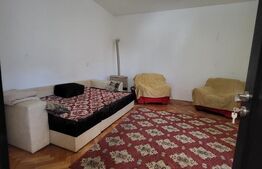 Apartament cu 1 camera, 47 mp, zona centrala