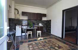 Apartament cu 1 camera, 47 mp, zona centrala