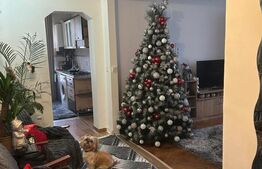 Apartament cu 2 camere, 49 mp, zona Materna