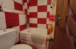 Apartament cu o camera la cheie, zona Salina