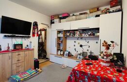 Apartament cu 2 camere, parter, zona Micro III