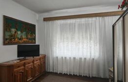 Casa 3 camere, 1079 mp teren, in zona Turda Noua