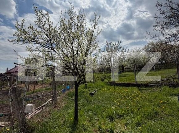 Casa de vânzare 2 camere Nord-Vest - 192855CV | BLITZ Turda | Poza5