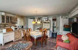 2 Proprietati, 320 mp utili, in centrul Turzii