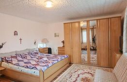 2 Proprietati, 320 mp utili, in centrul Turzii