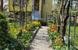 2 Proprietati, 320 mp utili, in centrul Turzii