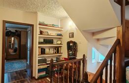 2 Proprietati, 320 mp utili, in centrul Turzii