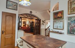 2 Proprietati, 320 mp utili, in centrul Turzii