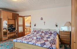 2 Proprietati, 320 mp utili, in centrul Turzii