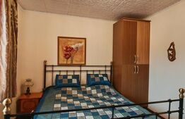 2 Proprietati, 320 mp utili, in centrul Turzii